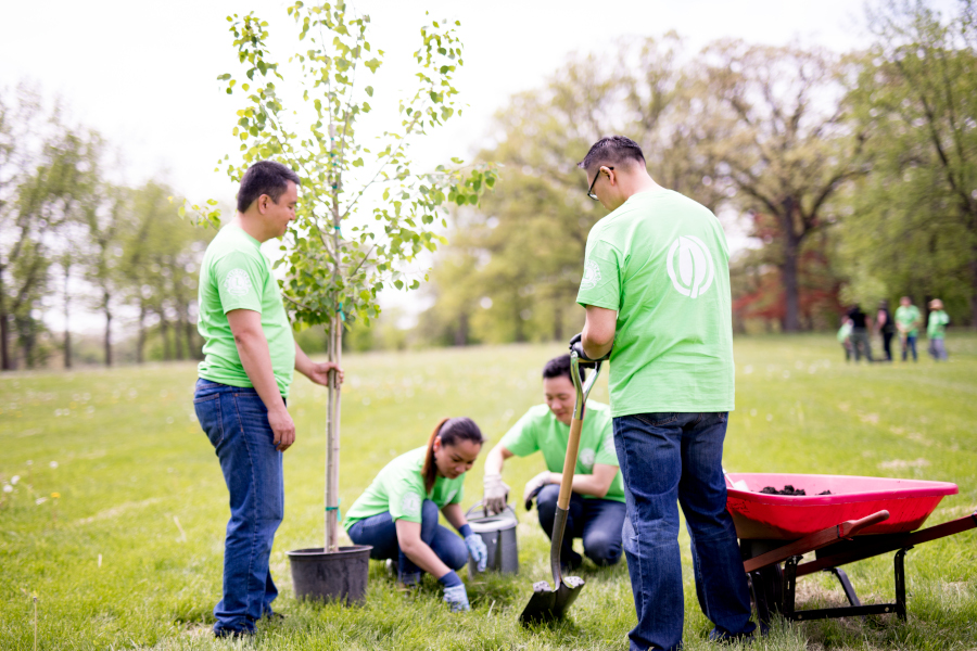 Baumpflanzaktion